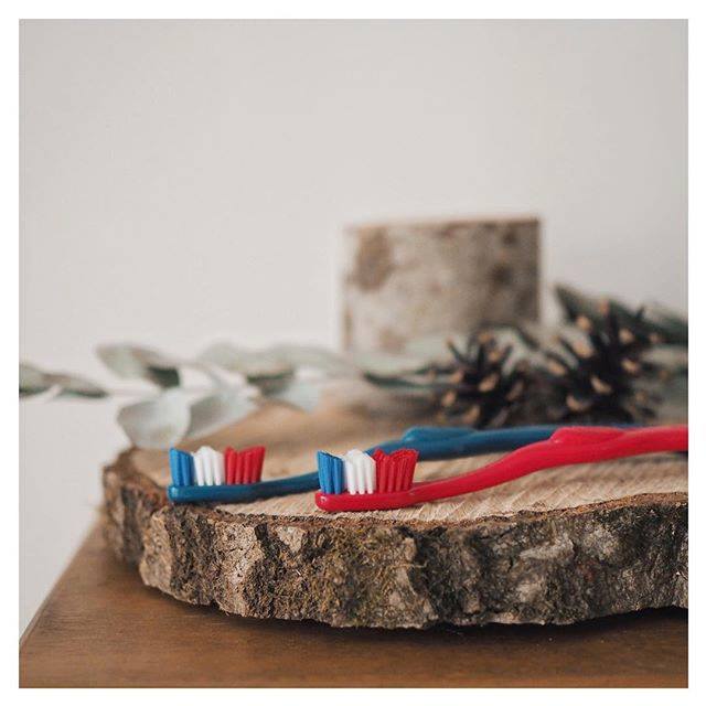 Brosse-a-dents-bleu-blanc-rouge-lpjnsq Deux brosses à dents aux couleurs bleu blanc rouge psées sur un tronc d'arbre pour le petit je ne sais quoi